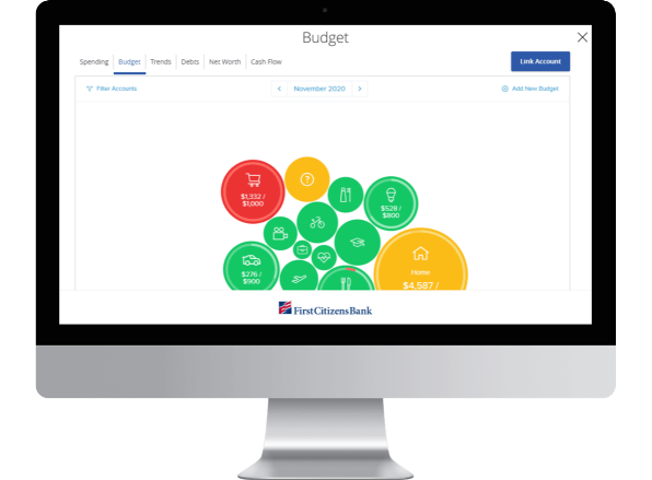 computer monitor displaying a Metropolitan Commercial Trust Bank Budget application