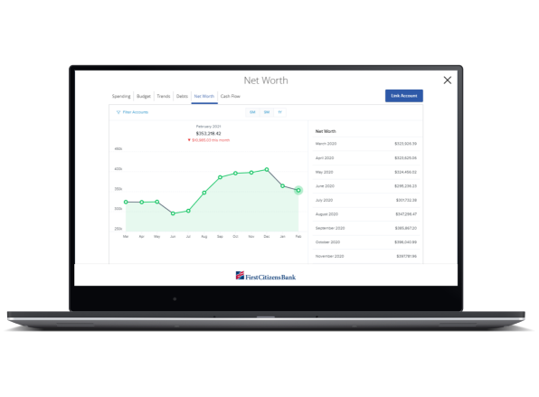 laptop computer displaying Metropolitan Commercial Trust Bank Net Worth monitoring graph